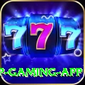 999R VIP Gaming App
