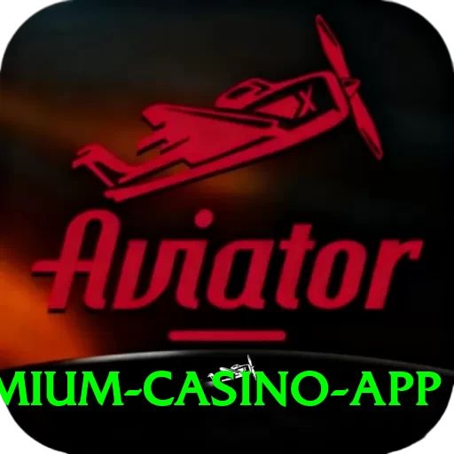 Paksuper Premium Casino App - 2