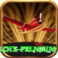 pkr67 - Slots Premium